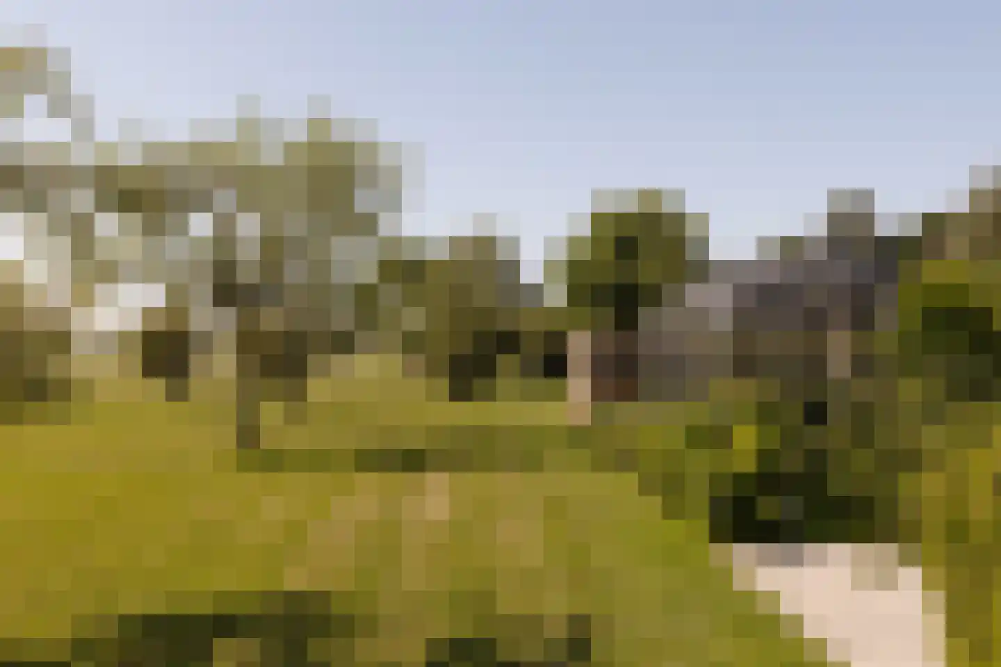Eilandseweg 8 a Nederhorst den Berg thumbnail 62