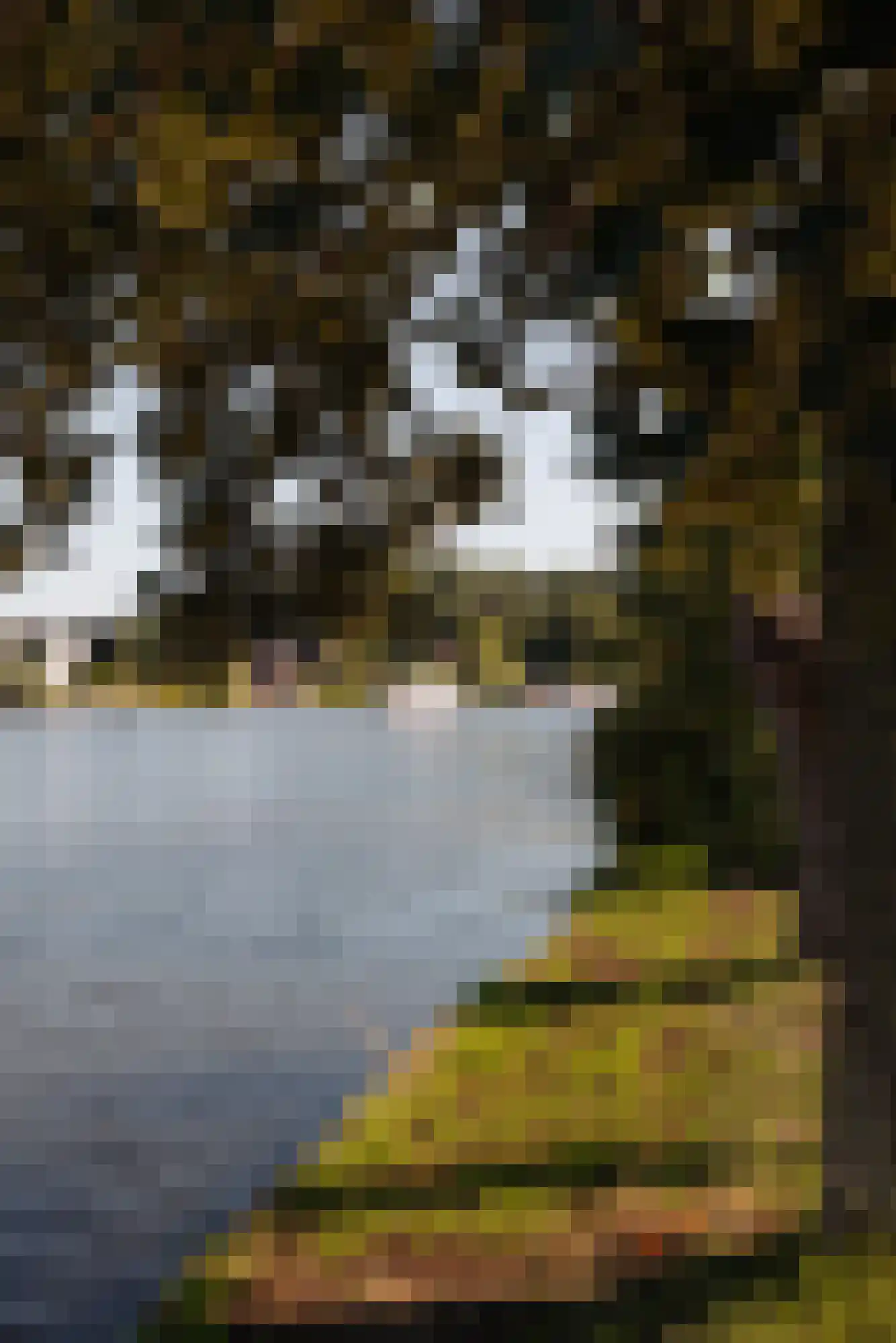Eilandseweg 8 a Nederhorst den Berg thumbnail 72