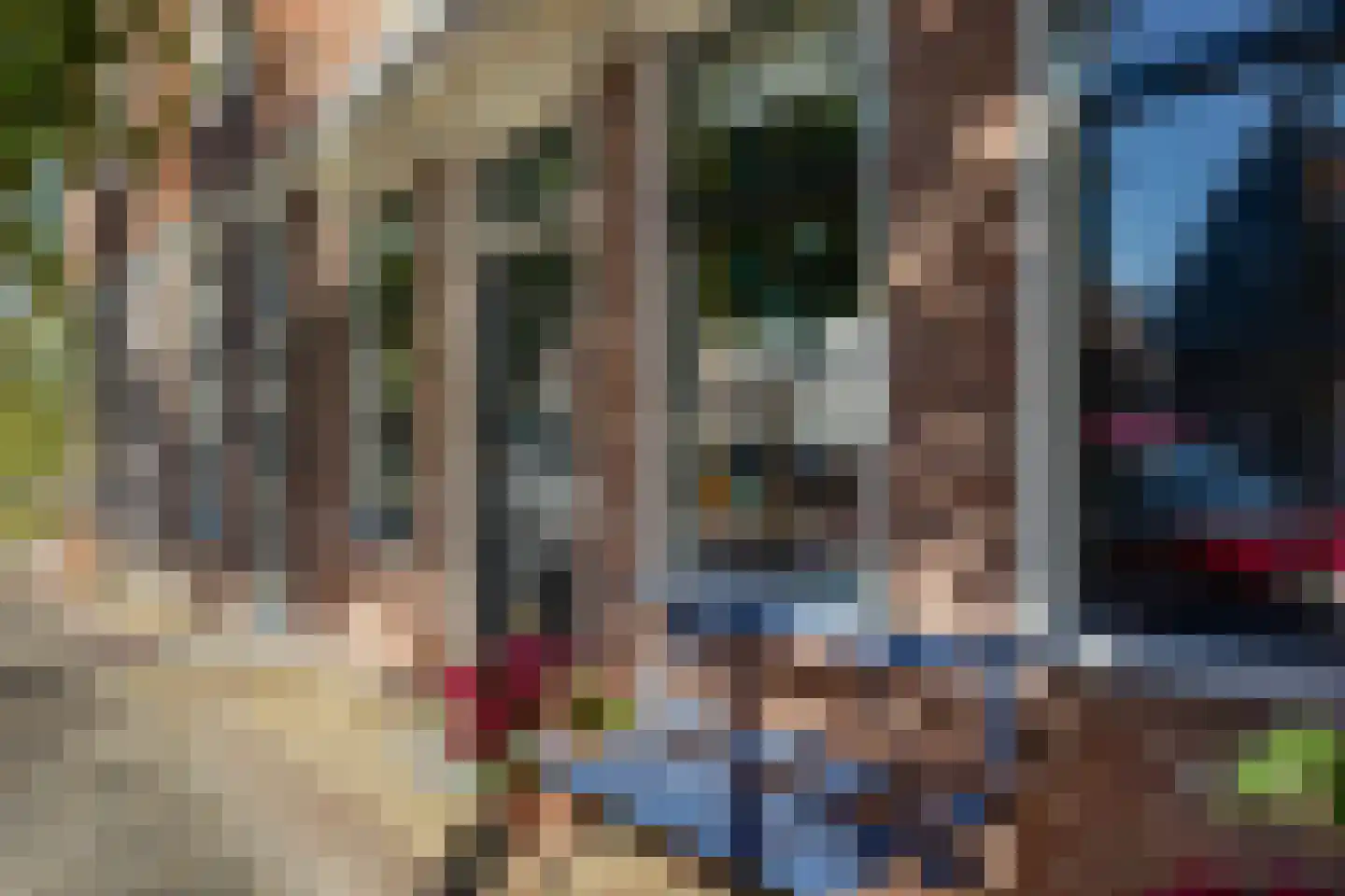 Eilandsgracht 7 Edam thumbnail 6