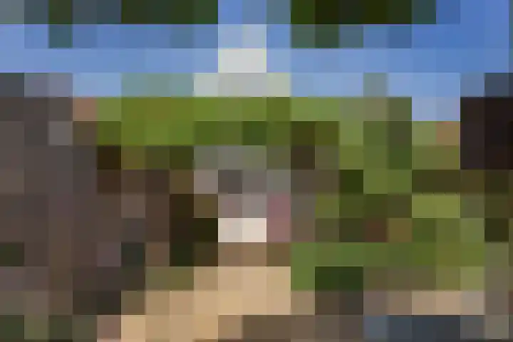 Eilandsgracht 9 Edam thumbnail 27