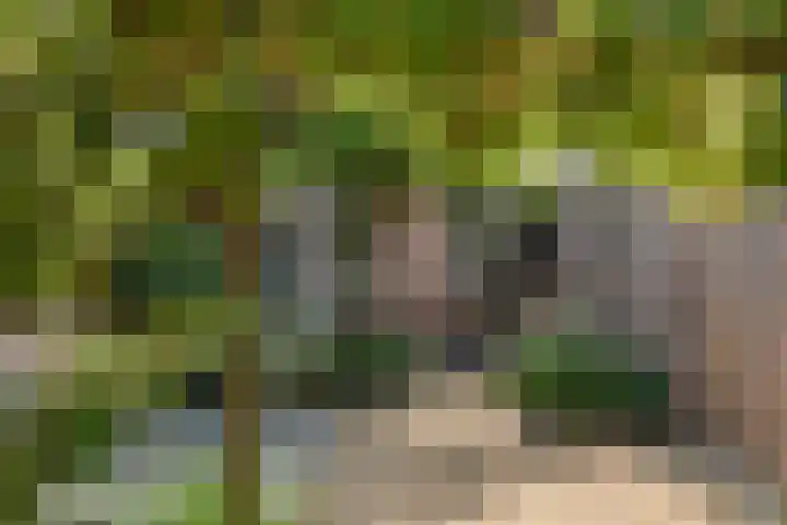 Eilandsgracht 9 Edam thumbnail 31