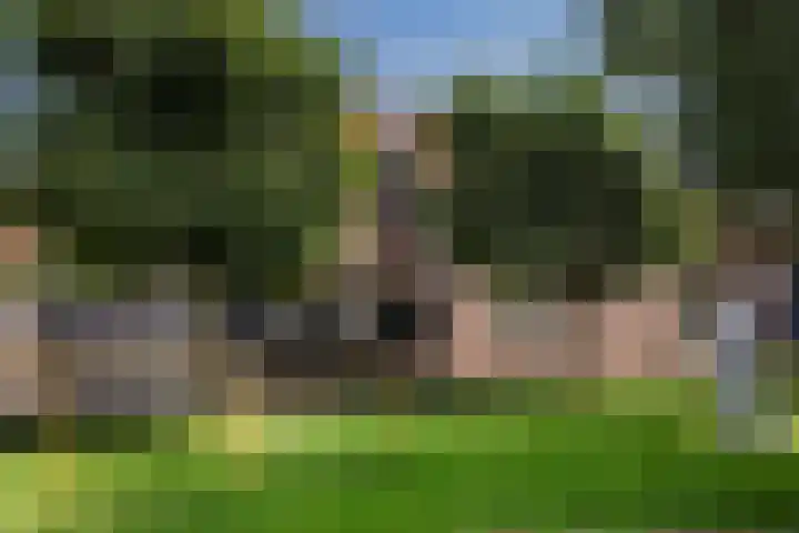 Eilandsgracht 9 Edam thumbnail 35