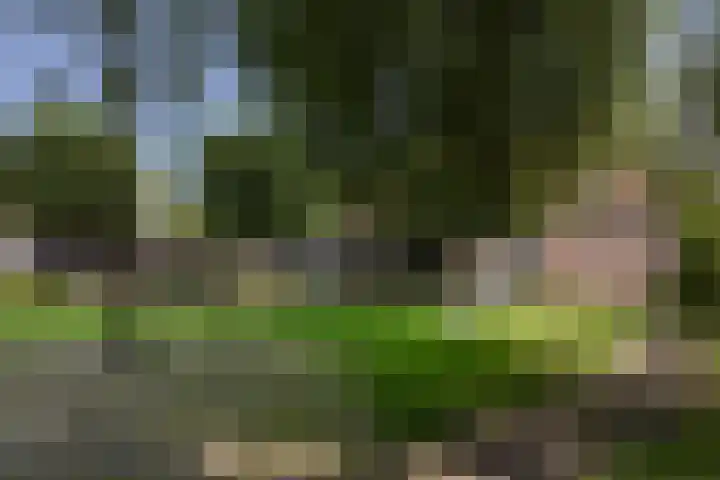 Eilandsgracht 9 Edam thumbnail 37