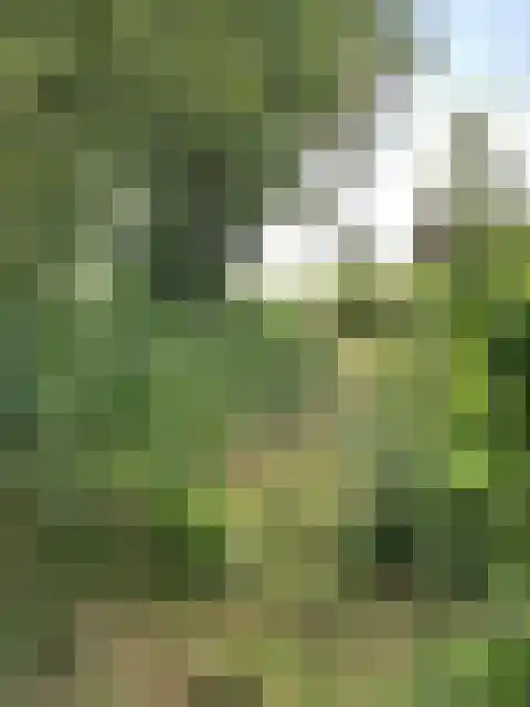 Eilandspolder 857 De Rijp thumbnail 15