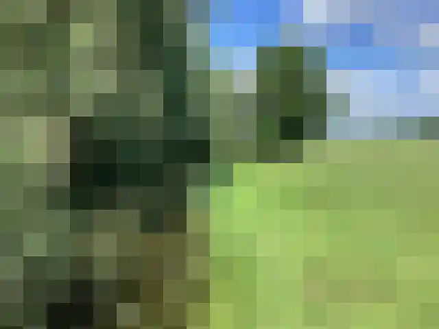 Eilandspolder 857 De Rijp thumbnail 4