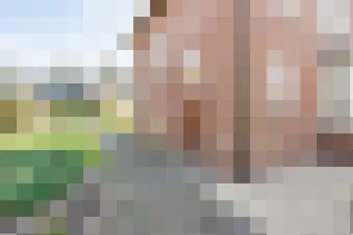 Eilandstraat 38 Papendrecht thumbnail 61
