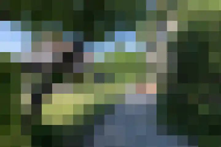 Eilandstraat 48 Papendrecht thumbnail 4