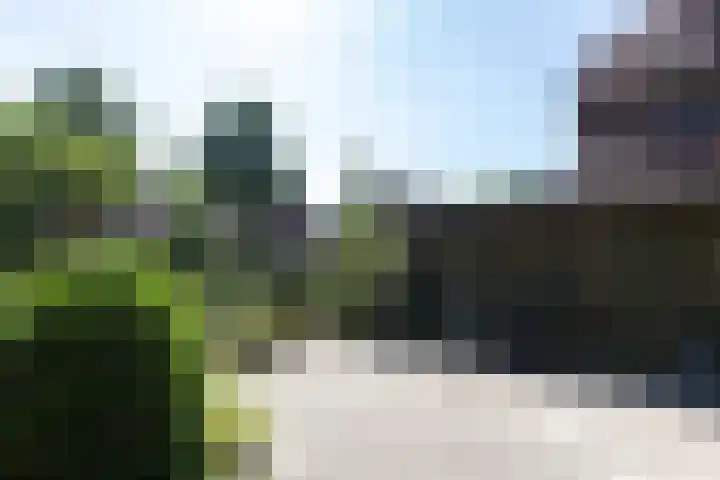 Eilandstraat 48 Papendrecht thumbnail 52