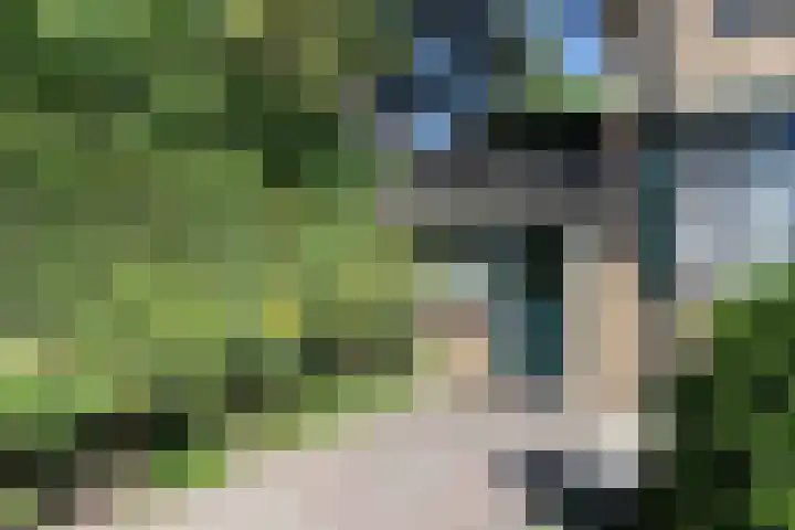 Eilandstraat 48 Papendrecht thumbnail 53
