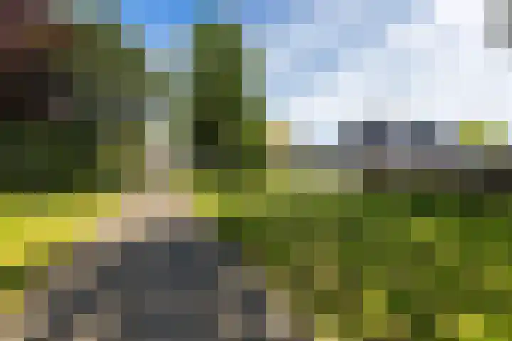 Eilandweg 25 Delfzijl thumbnail 10