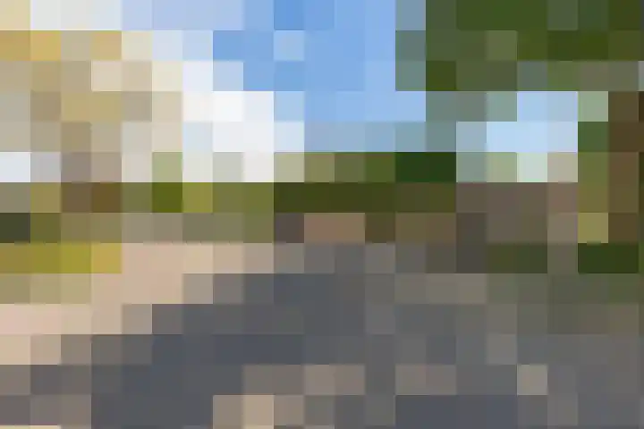 Eilandweg 25 Delfzijl thumbnail 11