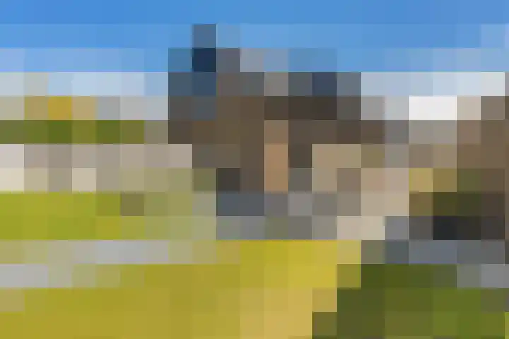 Eilandweg 25 Delfzijl thumbnail 14