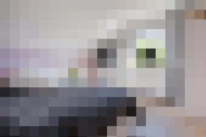 Eilandweg 25 Delfzijl thumbnail 43