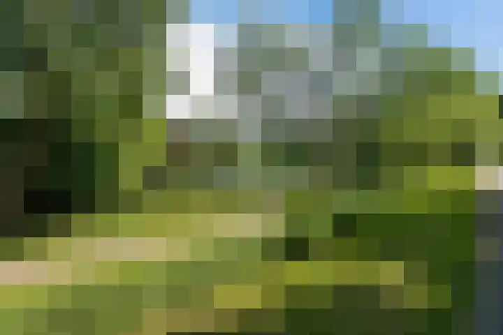 Eilandweg 25 Delfzijl thumbnail 9