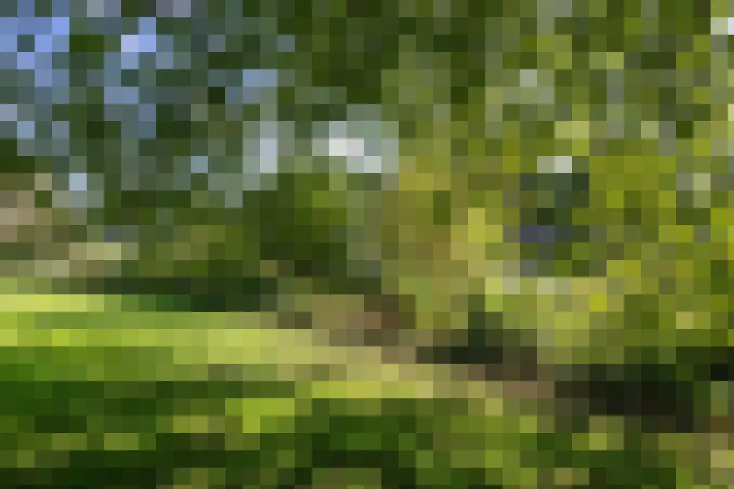 Eilandweg 43 Delfzijl thumbnail 107