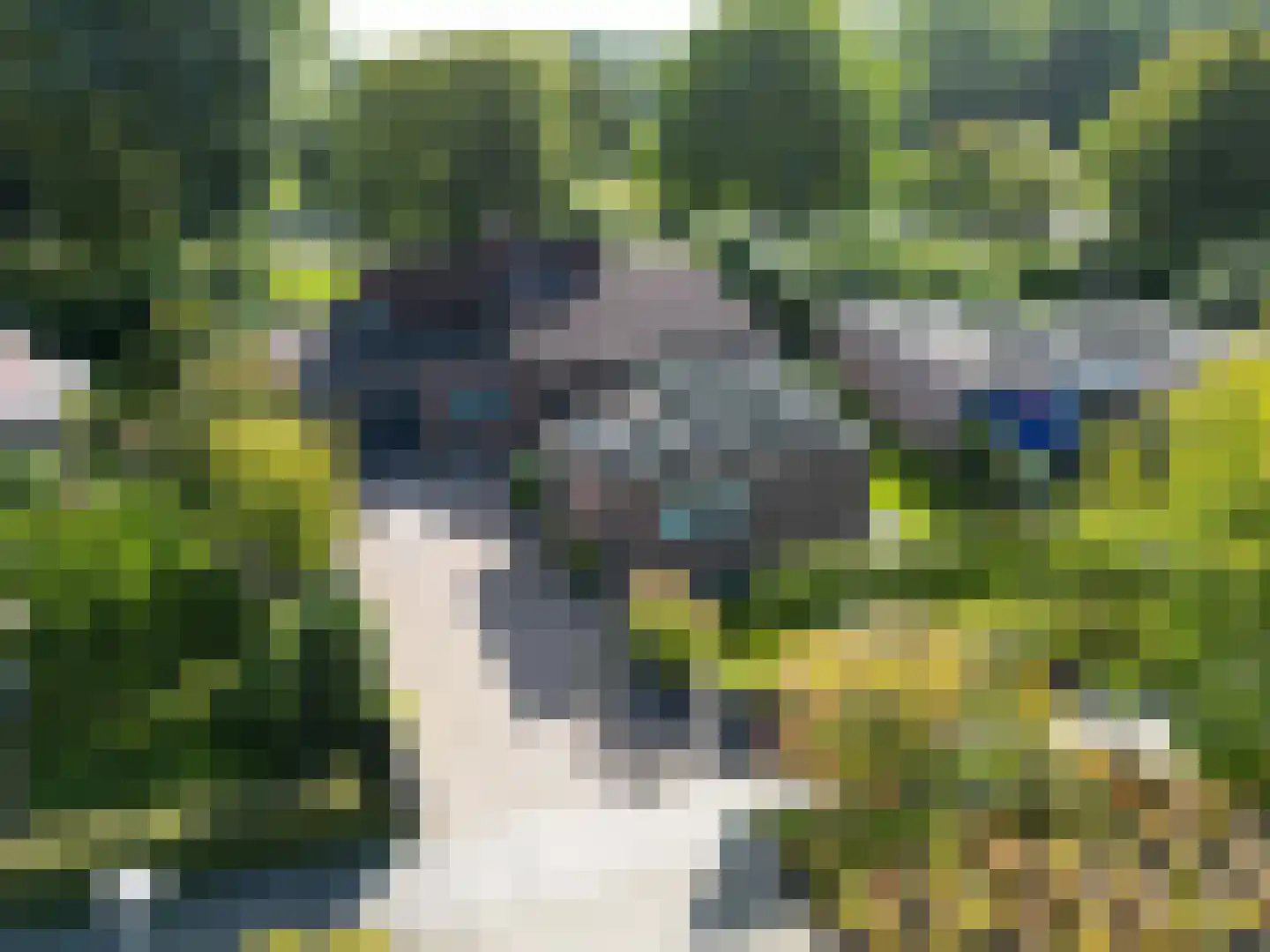 Eilandweg 43 Delfzijl thumbnail 108