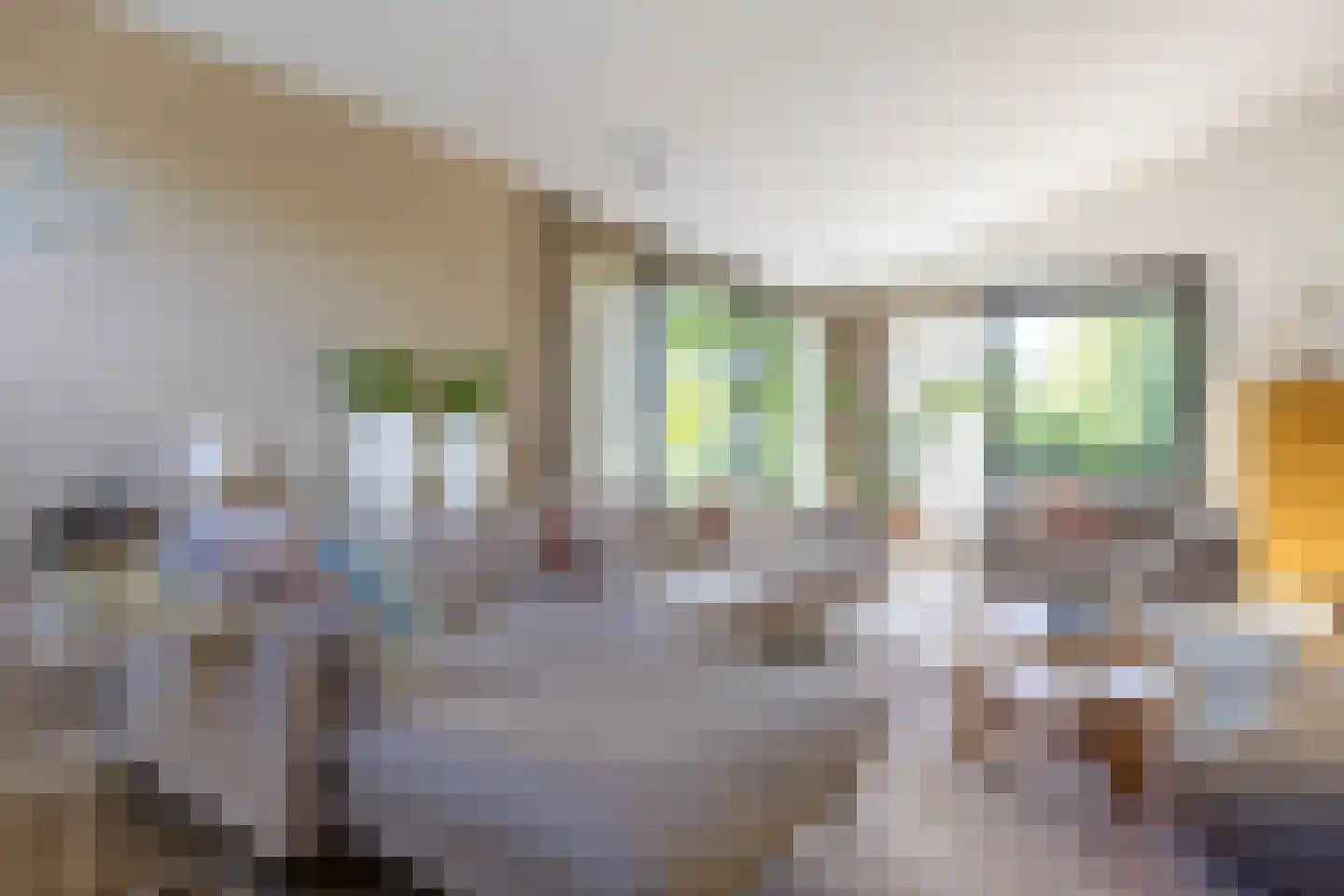Eilandweg 43 Delfzijl thumbnail 33