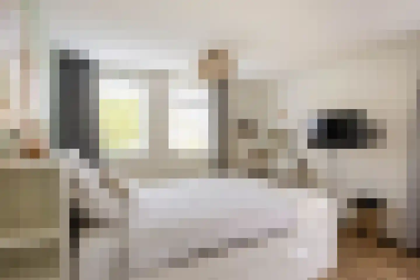 Eilandweg 43 Delfzijl thumbnail 62