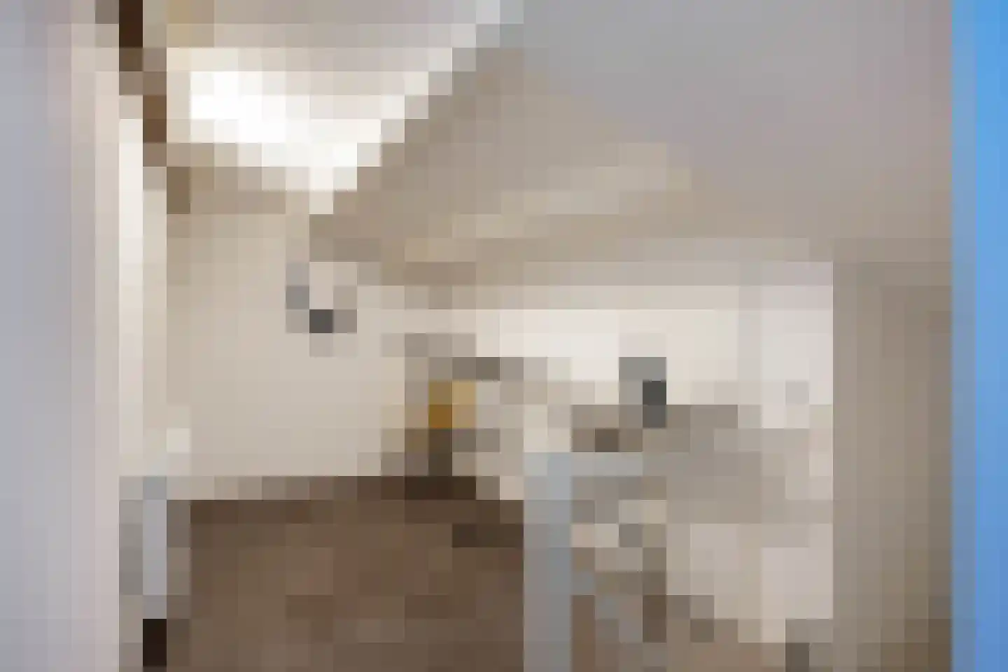 Eilandweg 43 Delfzijl thumbnail 68