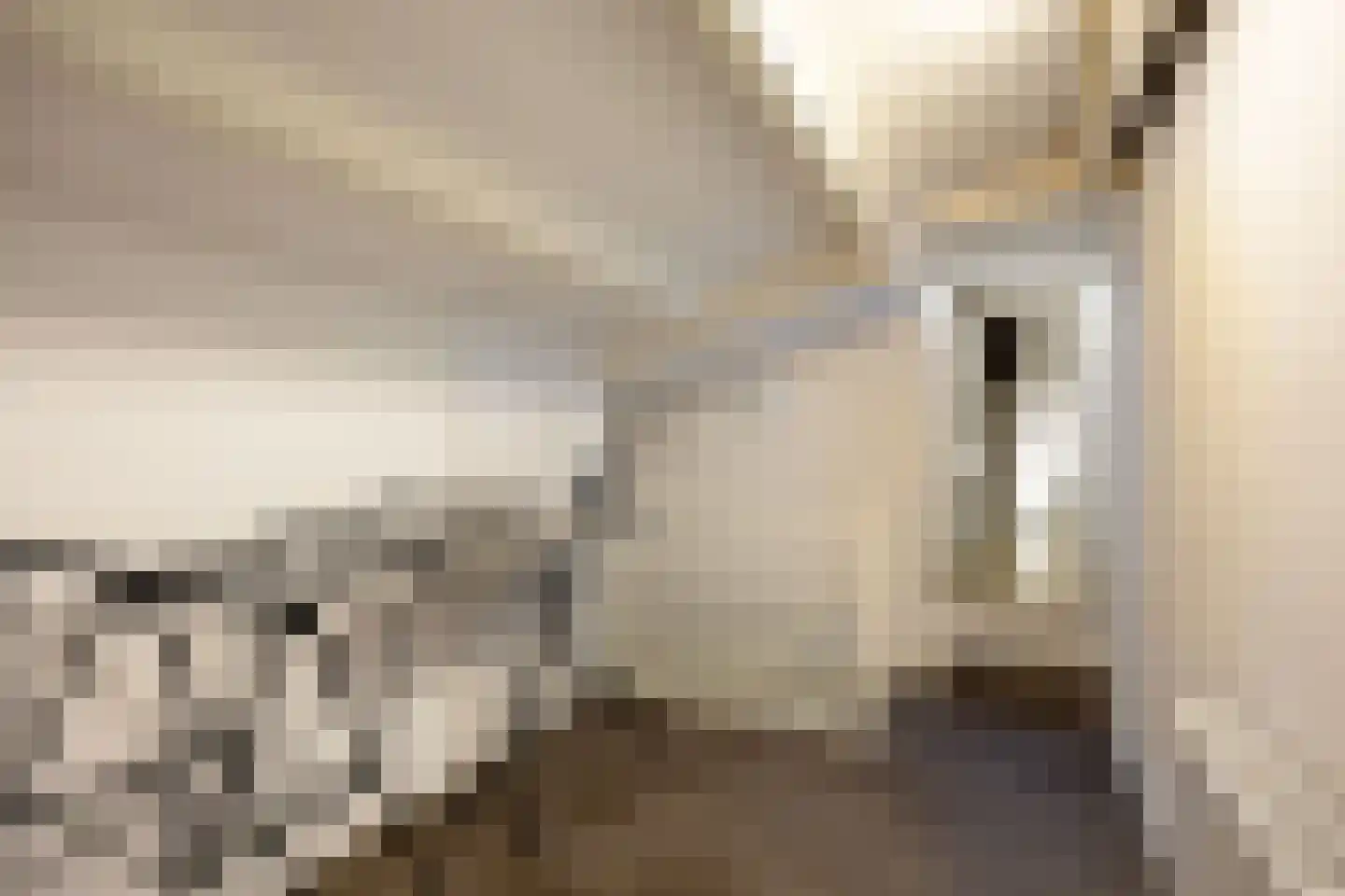 Eilandweg 43 Delfzijl thumbnail 69