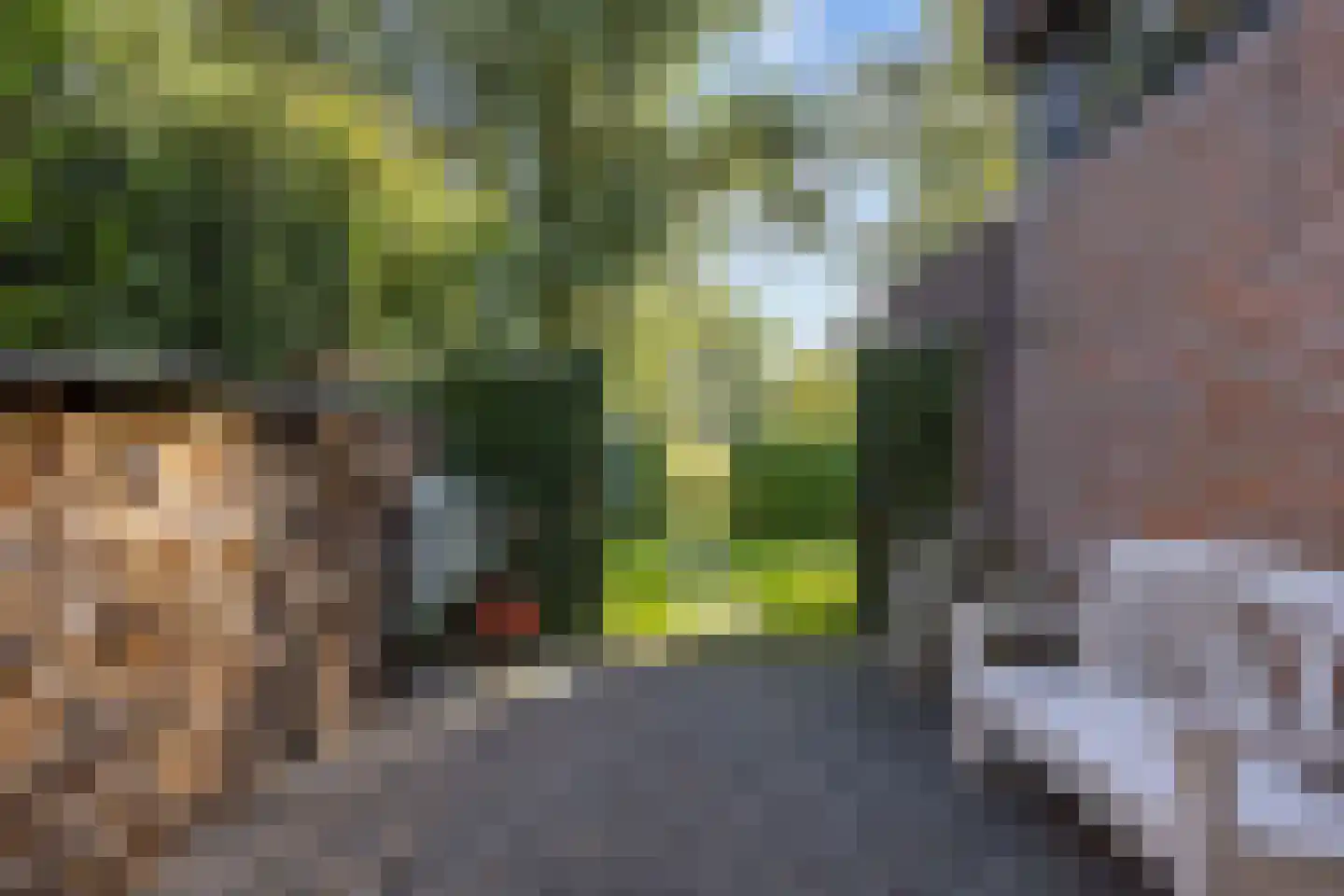 Eilandweg 43 Delfzijl thumbnail 74