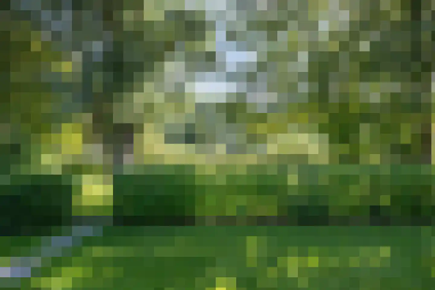 Eilandweg 43 Delfzijl thumbnail 77