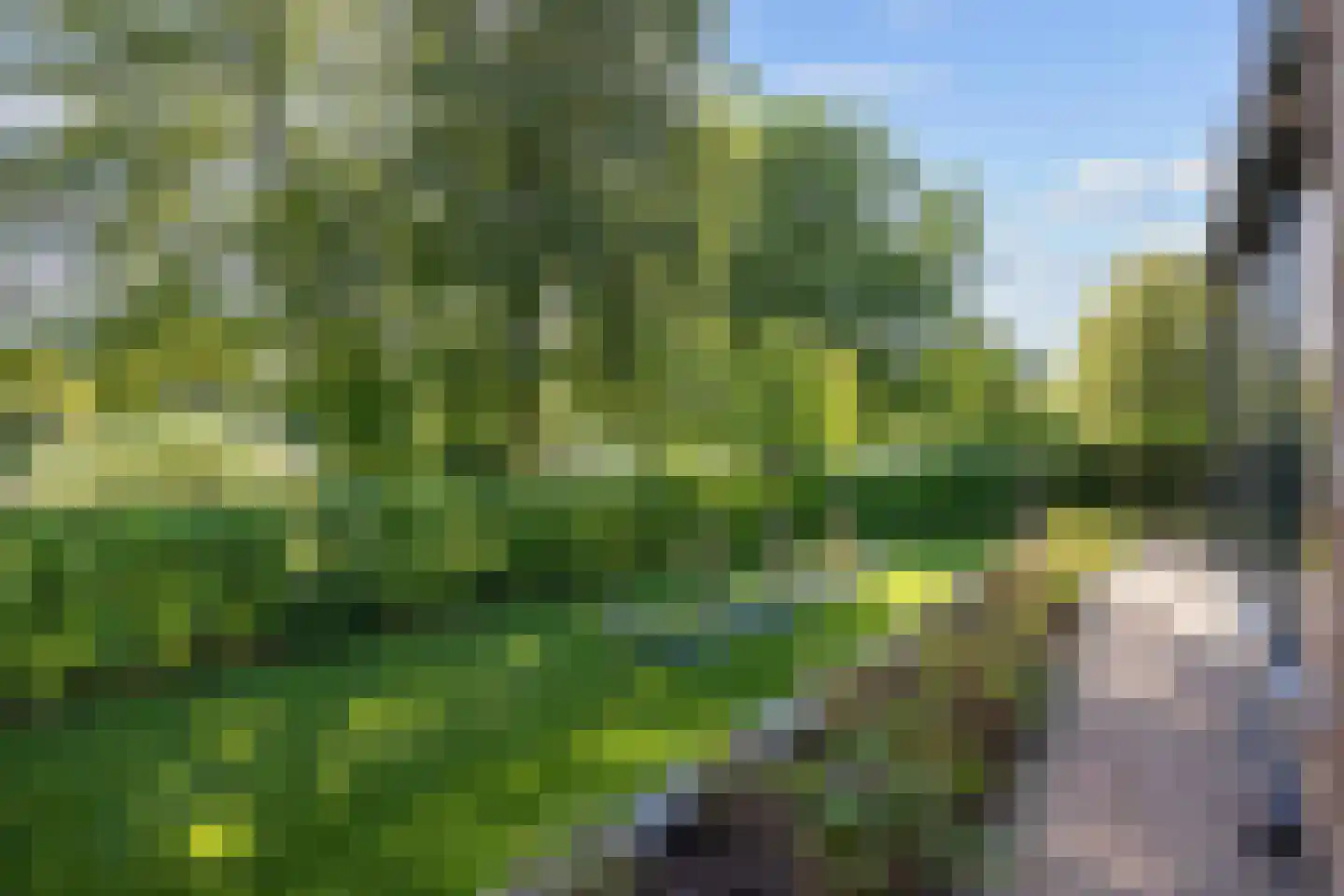 Eilandweg 43 Delfzijl thumbnail 79