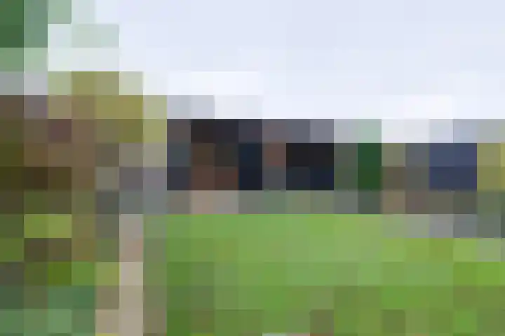 Eilânsgrien 43 dans Earnewâld