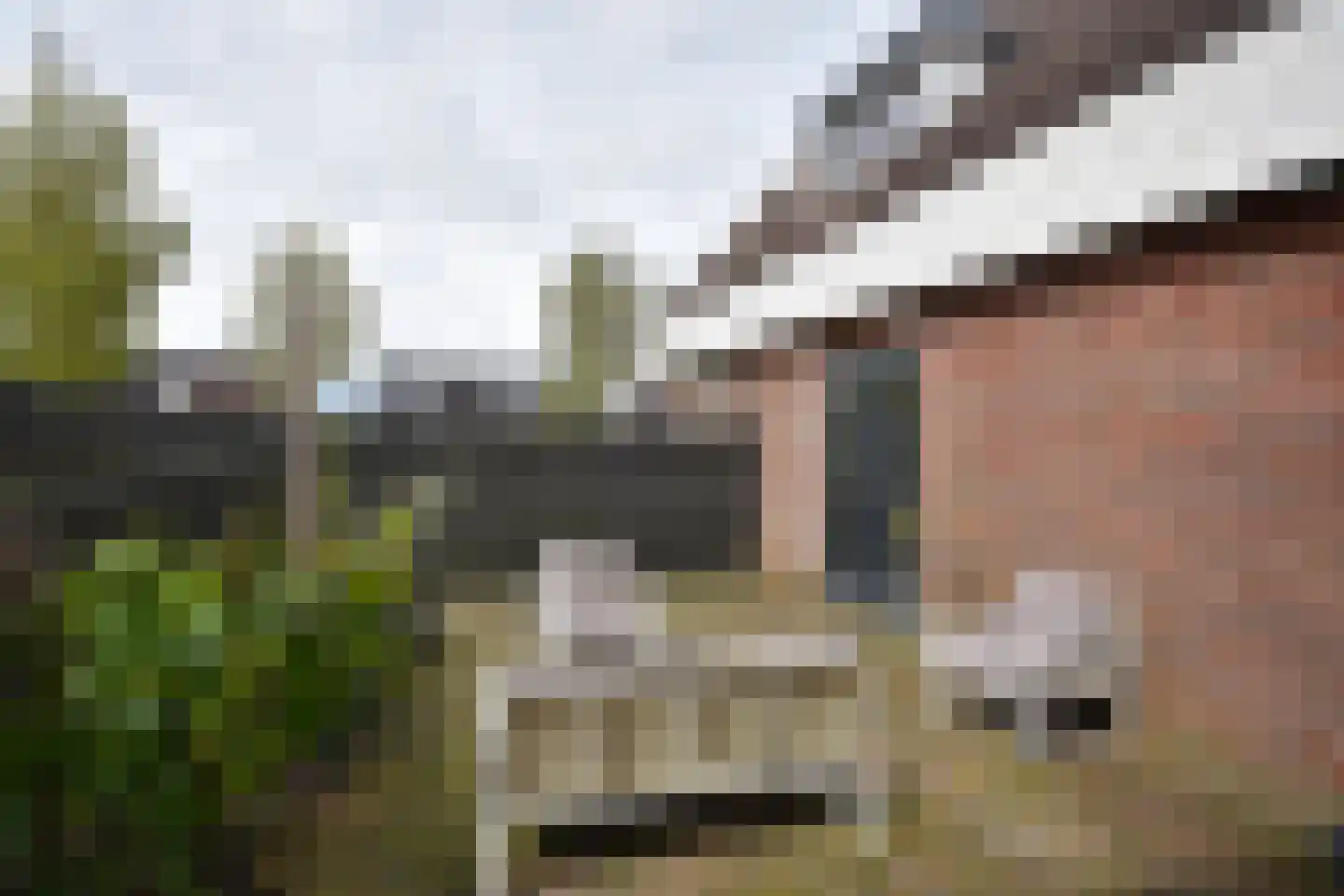Eilânsgrien 43 Earnewâld thumbnail 13