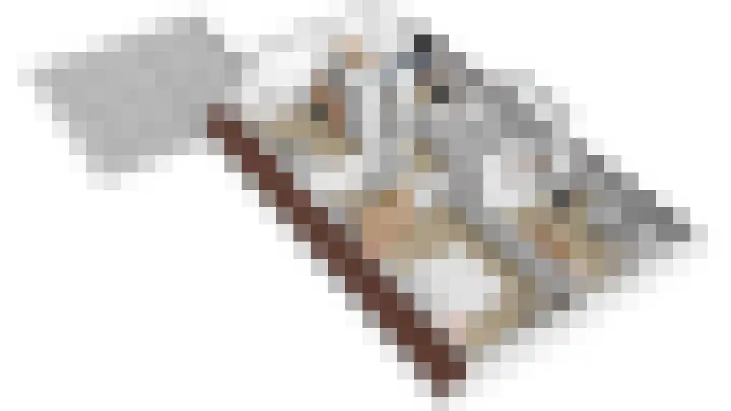 Eilânsgrien 43 Earnewâld thumbnail 32