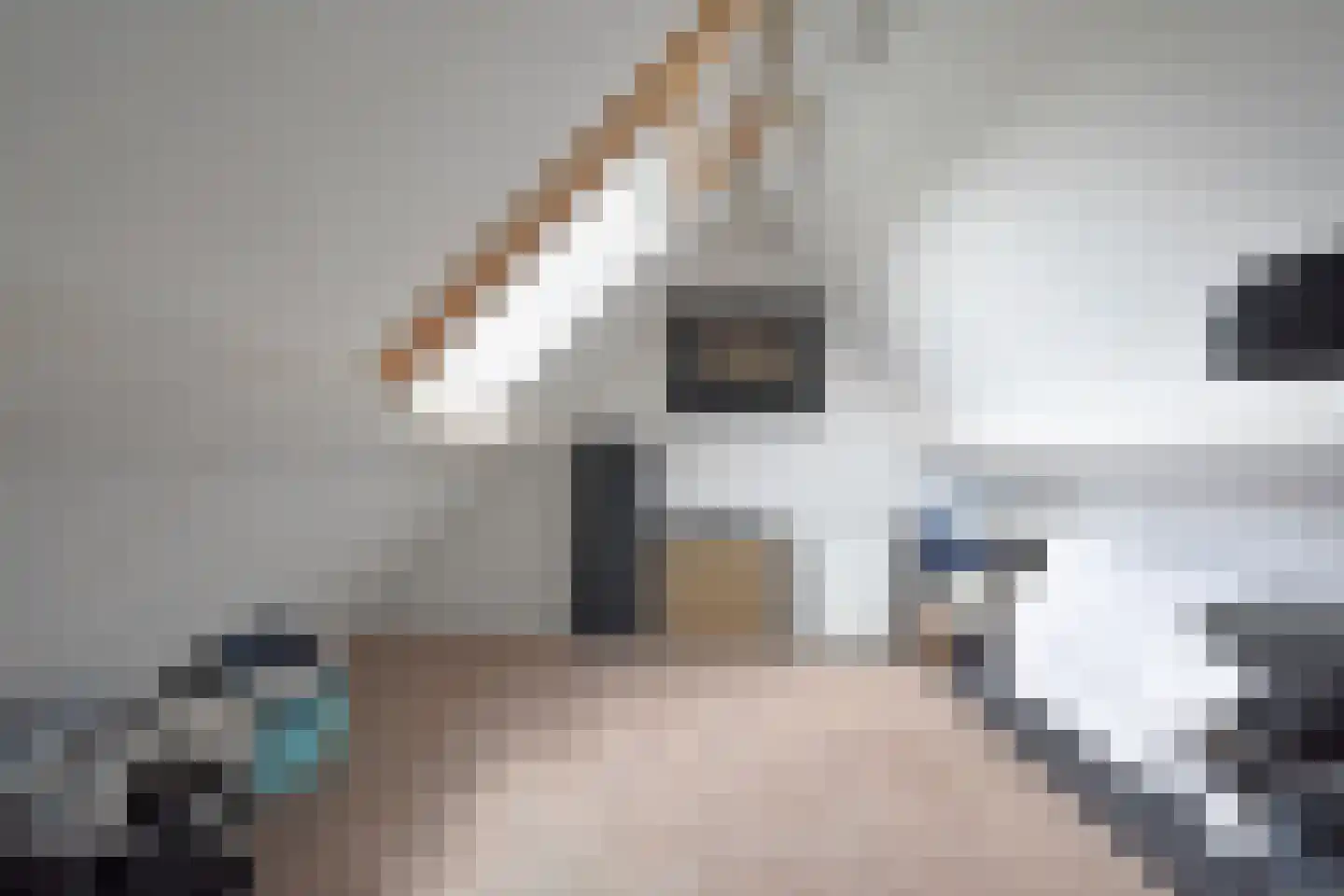 Eilânsgrien 43 Earnewâld thumbnail 48