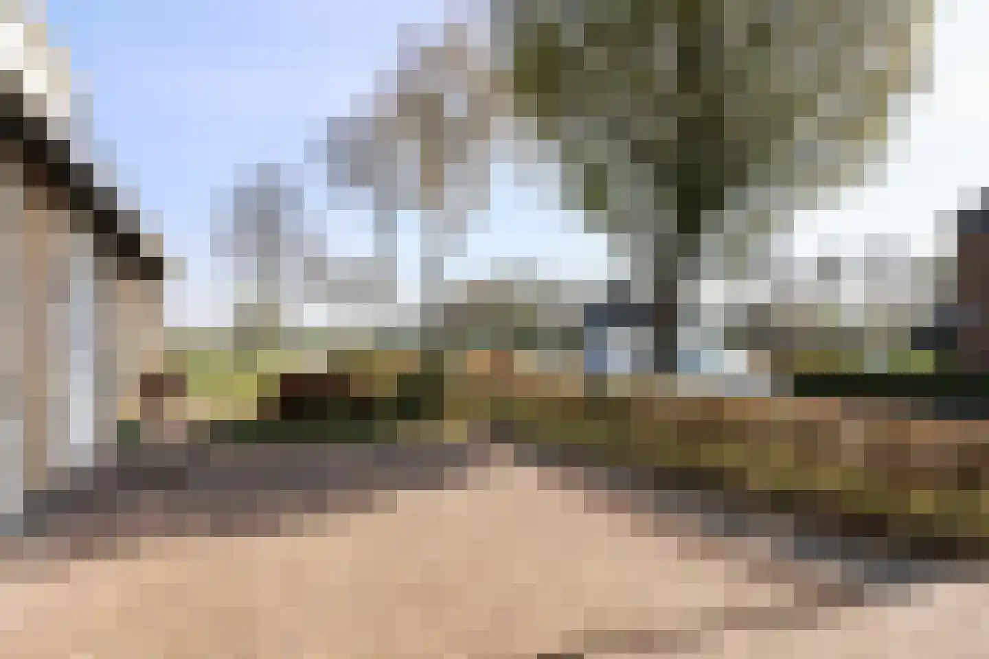 Eilânsgrien 8 Earnewâld thumbnail 58