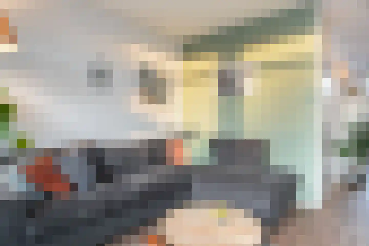 Eilânswei 2 Oosterbierum thumbnail 7