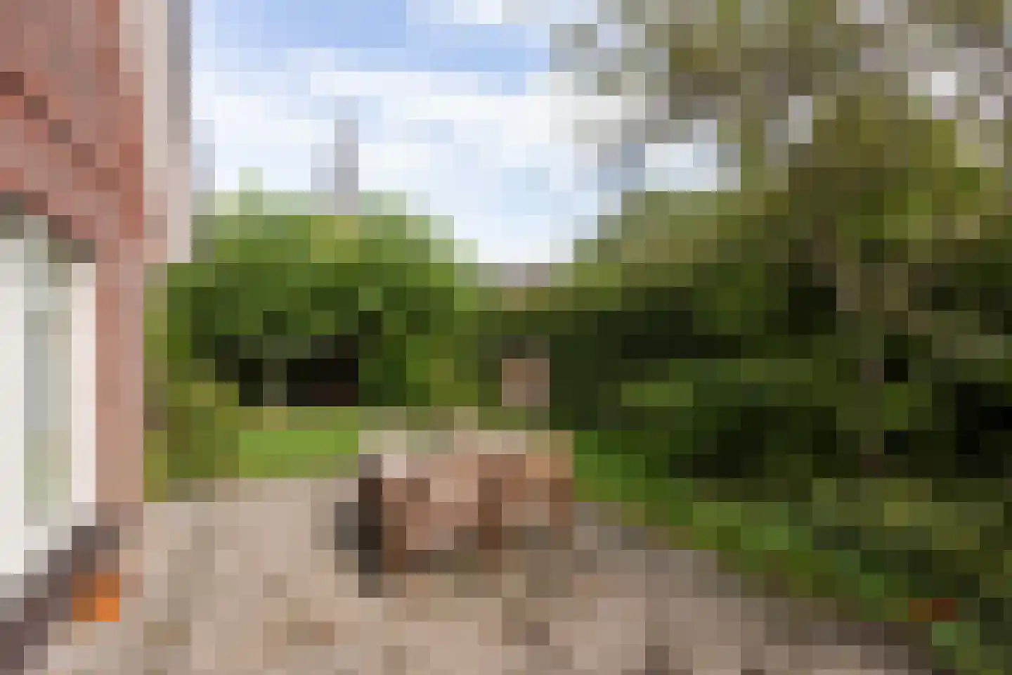 Eilânswei 20 Oosterbierum thumbnail 20
