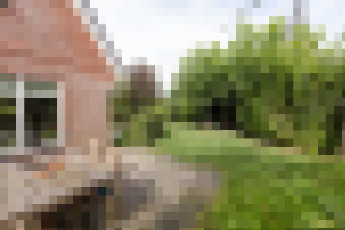 Eilânswei 20 Oosterbierum thumbnail 21