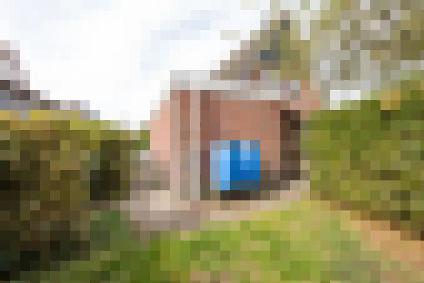 Eilânswei 20 Oosterbierum thumbnail 23