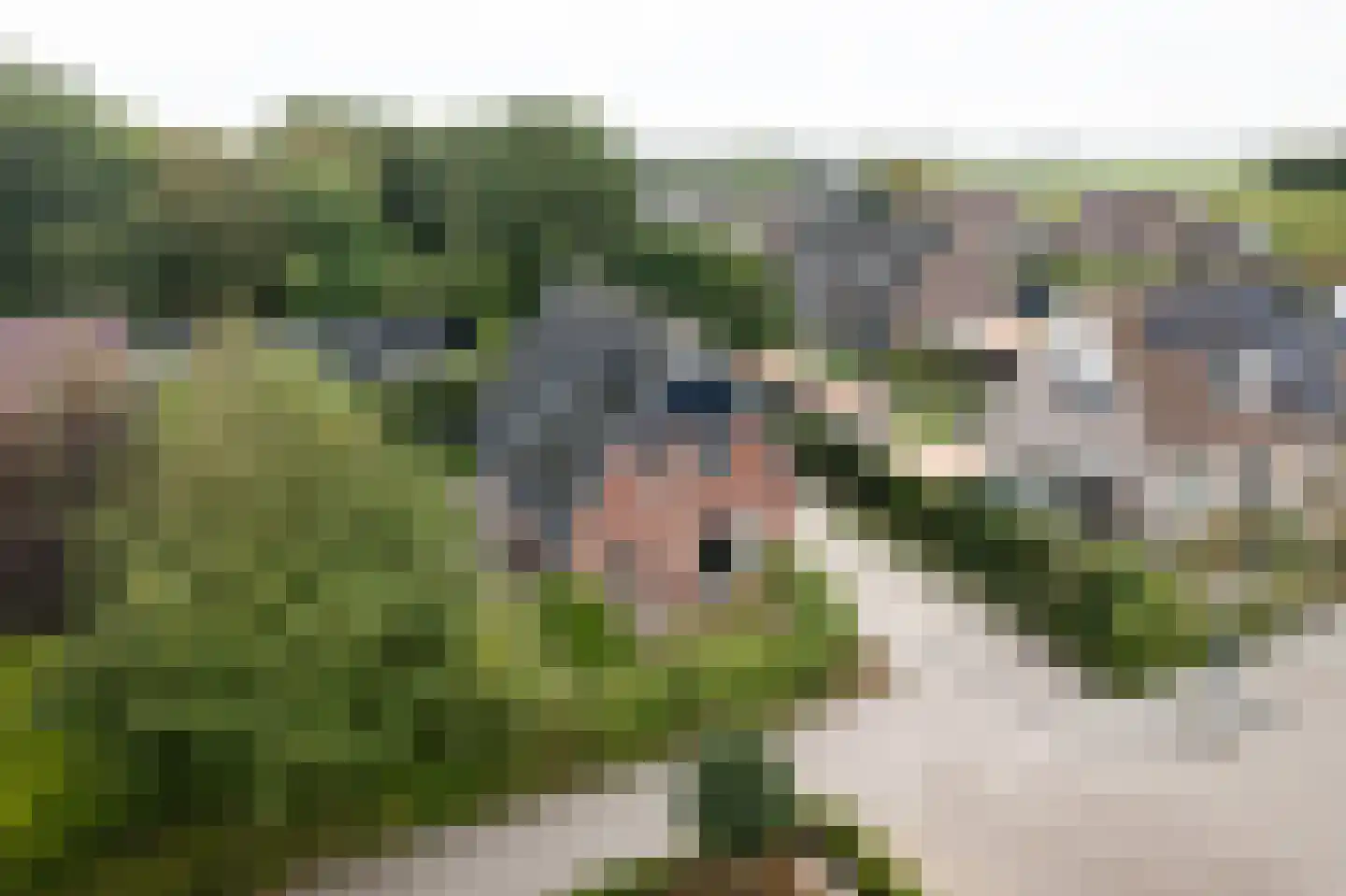 Eilânswei 20 Oosterbierum thumbnail 33