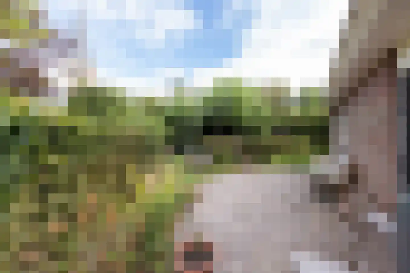 Eilânswei 20 Oosterbierum thumbnail 4