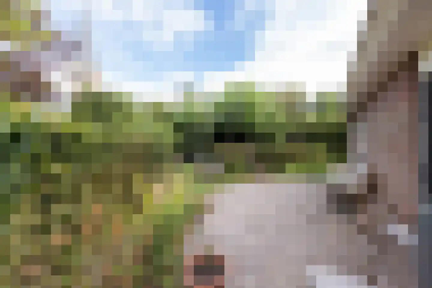Eilânswei 20 Oosterbierum thumbnail 4