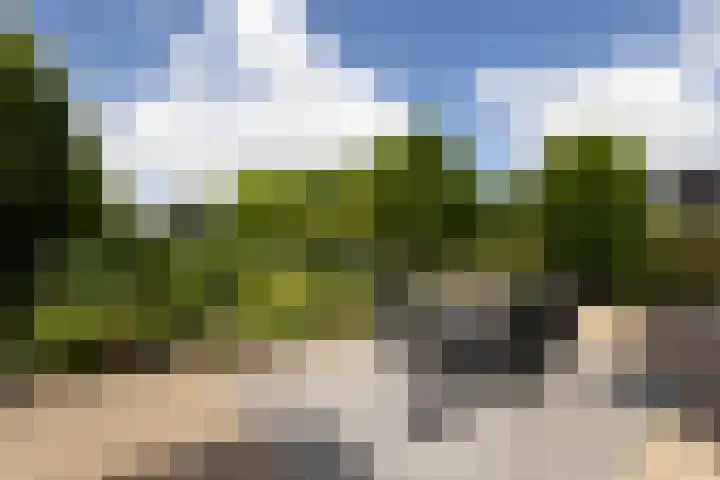 Eilânswei 23 Oosterbierum thumbnail 33