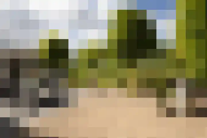 Eilânswei 23 Oosterbierum thumbnail 34