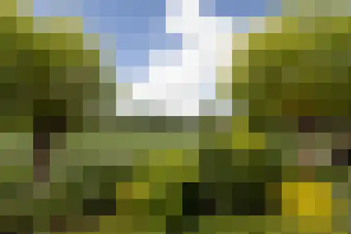 Eilânswei 23 Oosterbierum thumbnail 35