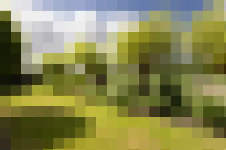 Eilânswei 23 Oosterbierum thumbnail 36
