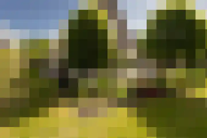 Eilânswei 23 Oosterbierum thumbnail 37