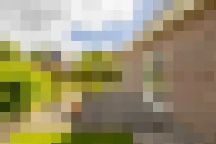 Eilânswei 23 Oosterbierum thumbnail 38