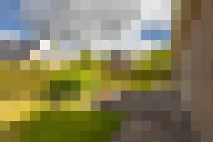 Eilânswei 23 Oosterbierum thumbnail 39