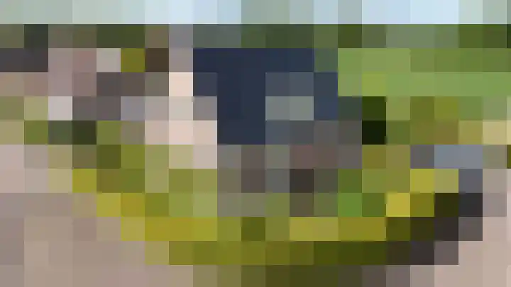 Eilânswei 23 Oosterbierum thumbnail 4