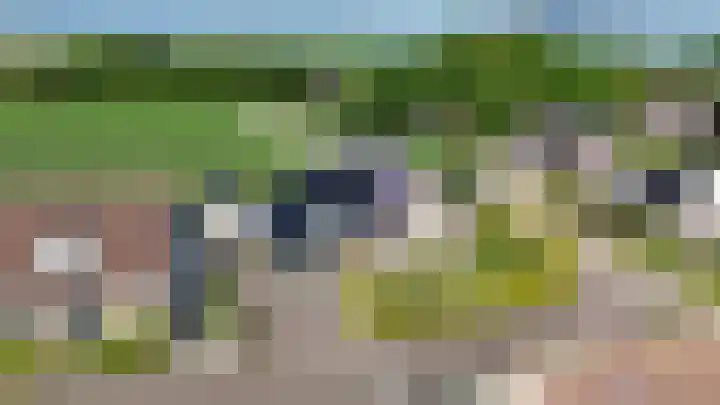 Eilânswei 23 Oosterbierum thumbnail 5