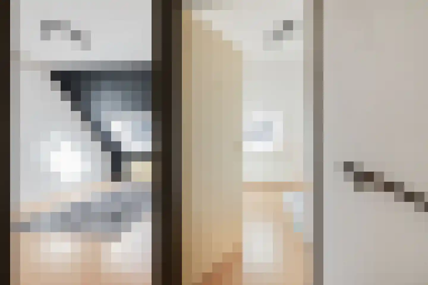 Eilardaheerd 55 Groningen thumbnail 20