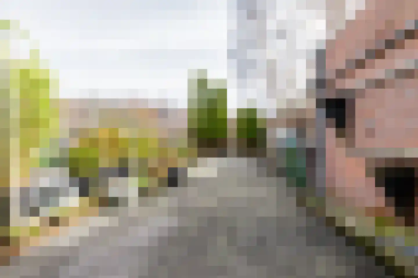 Eilardaheerd 55 Groningen thumbnail 34
